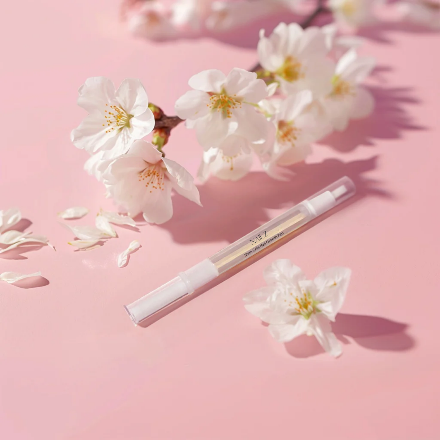 Stylo RenovOngle aux Cellules Souches