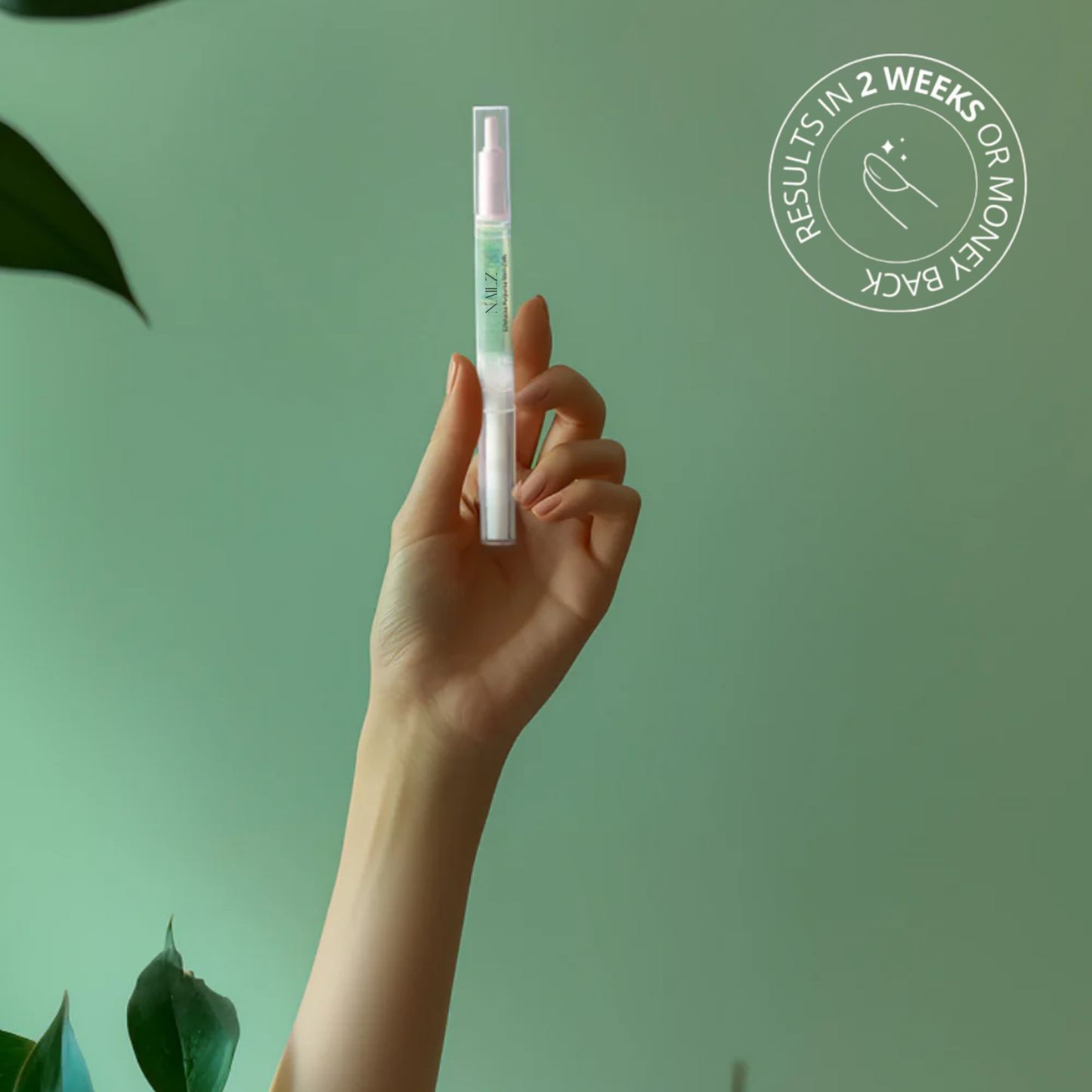 Stylo RenovOngle aux Cellules Souches